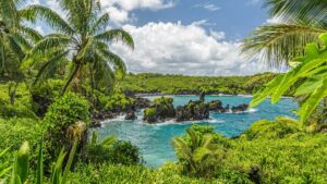 Waianapanapa State Park